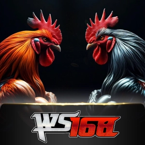 ws168 - STAYSLOT168