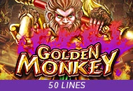 Golden Monkey - STAYSLOT168