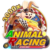 ANIMAL RACING - STAYSLOT168