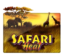 Safari Heat - STAYSLOT168