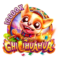 CHILIHUAHUA - STAYSLOT168