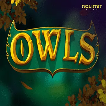 Owls - STAYSLOT168