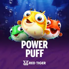 Power Puff - STAYSLOT168