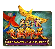 Bird Paradise - STAYSLOT168