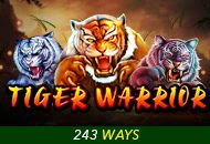 Tiger Warrior - STAYSLOT168