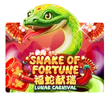 Snake Of Fortune - STAYSLOT168