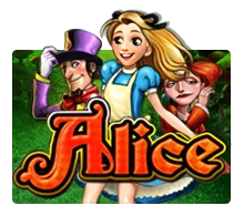 Alice - STAYSLOT168