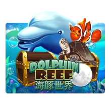 Dolphin Reef - STAYSLOT168