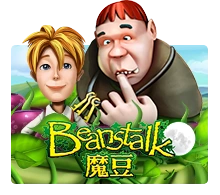 Beanstalk - STAYSLOT168
