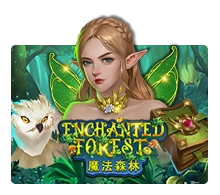 Enchanted Forest - STAYSLOT168
