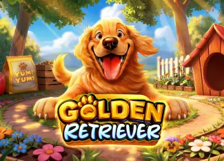 Golden Retriever - STAYSLOT168