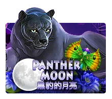 Panther Moon - STAYSLOT168