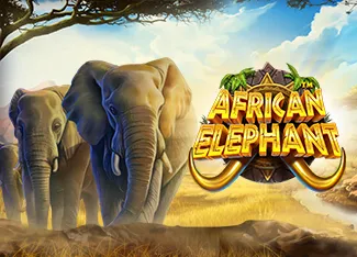 African Elephant - STAYSLOT168